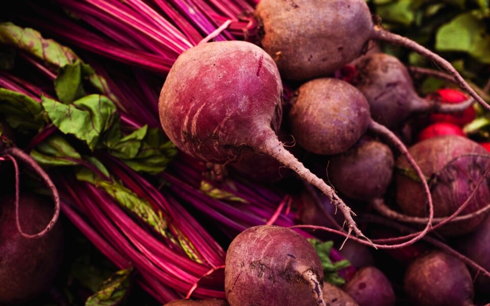 La Barbabietola: Coltivazione e Cucina